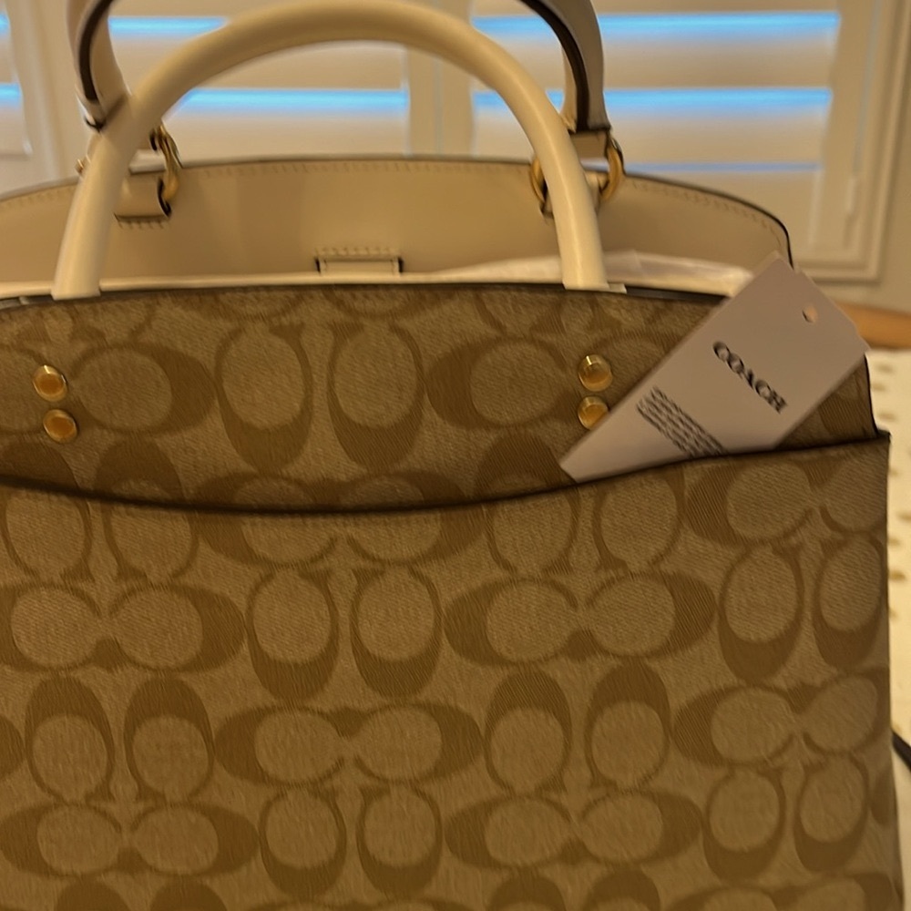 Coach Lillie Carryall  leather bag beige on beige sophisticated
